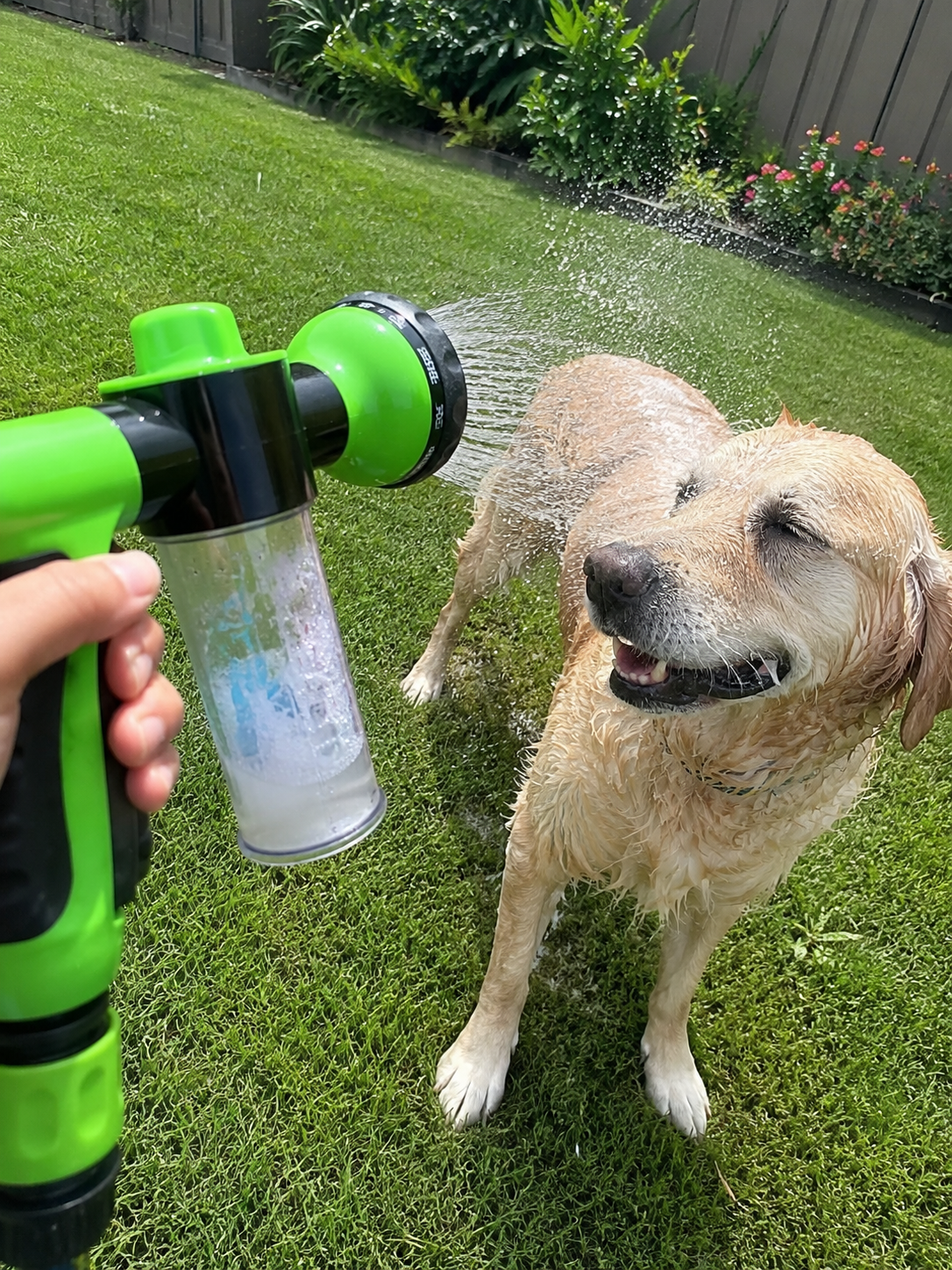 Pet Shower Wand